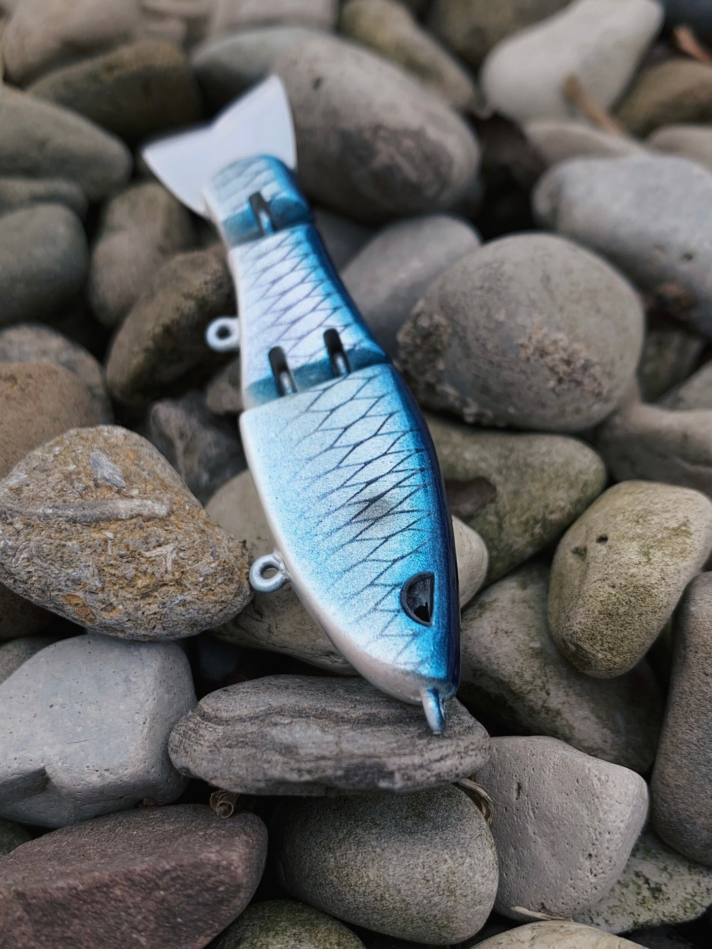 Tiny Swimmer "Boogie's Blue Voltage"