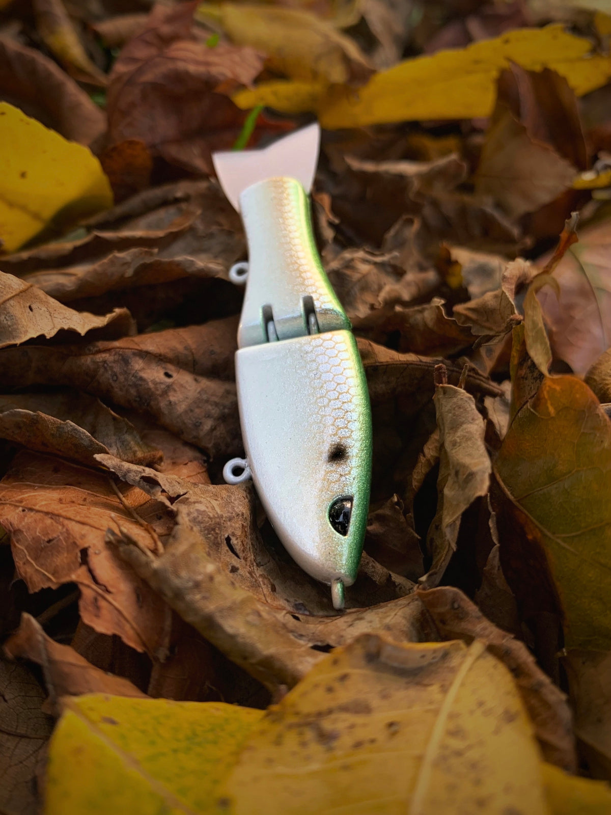 Tiny Glide "Fall Shad"