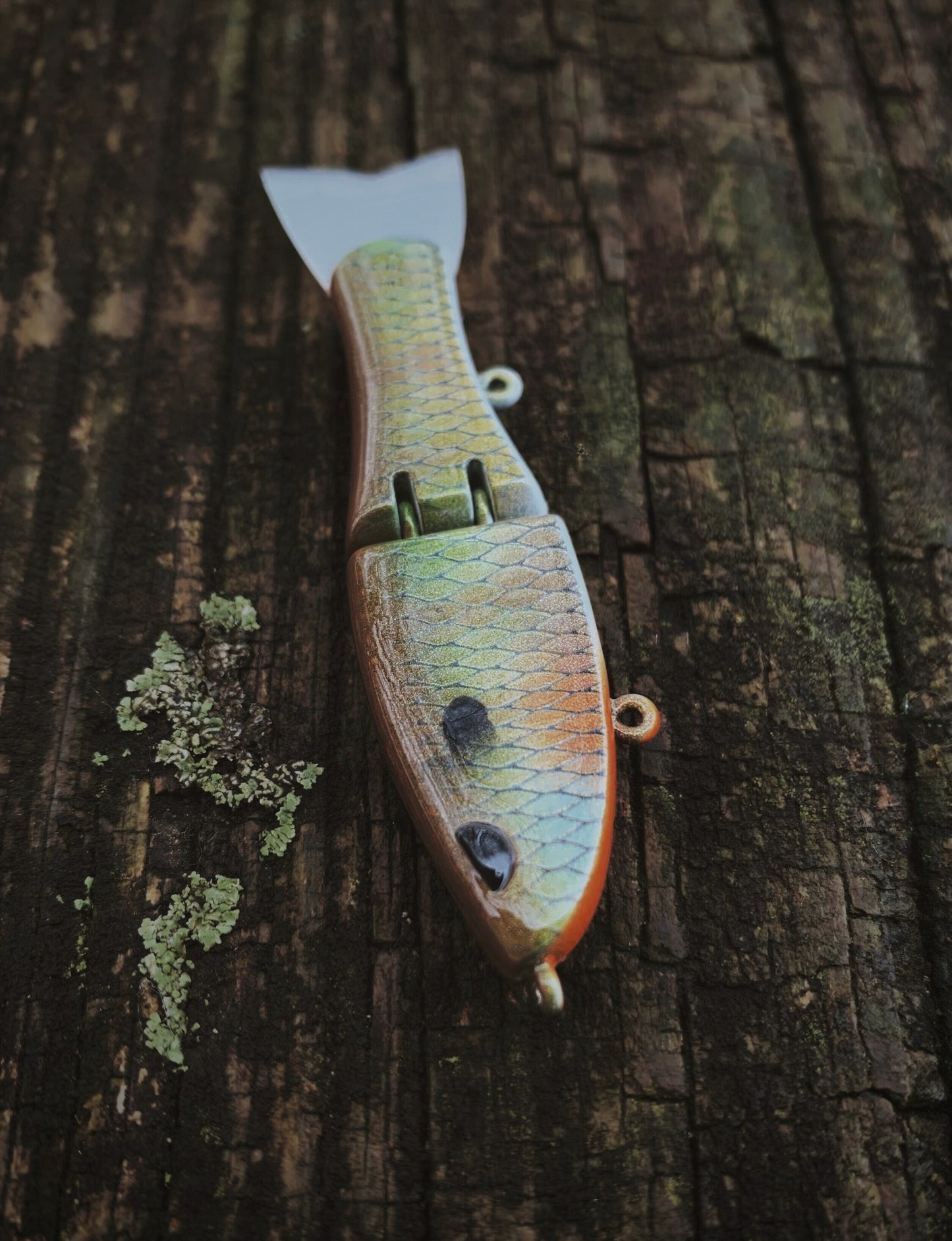 Tiny Glide "Boogie's Old Pond Gill"