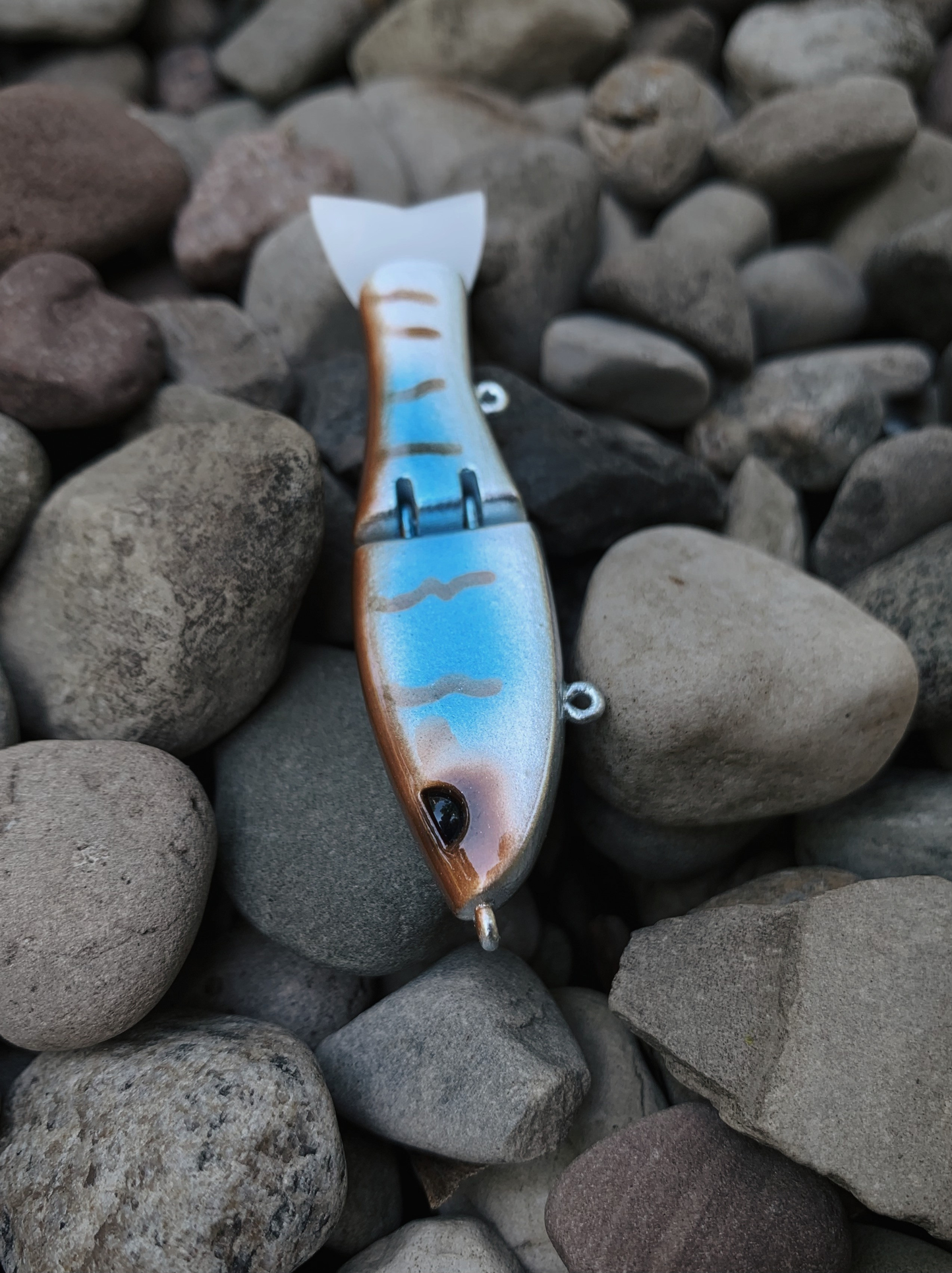 Tiny Glide "Boogie's Clear Gill"