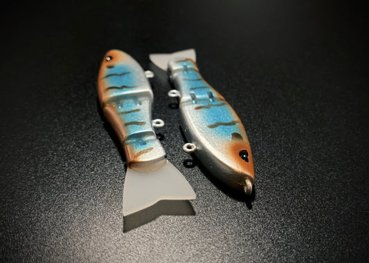Tiny Swimmer "Boogie's Clear Gill"