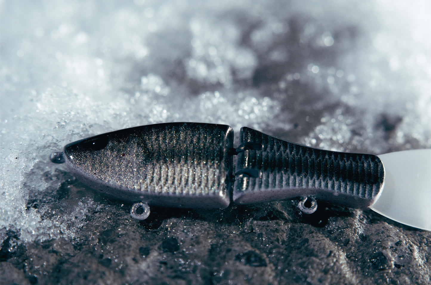 Tiny Glide Painted By Peyton Stumpf