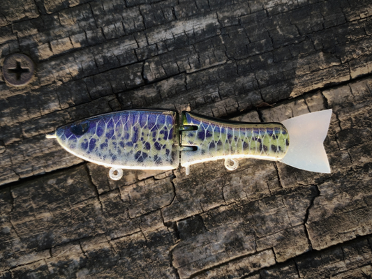 Tiny Glide "Boogie's Crappie"